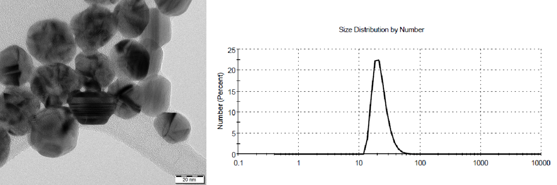 Size_distribution2.png
